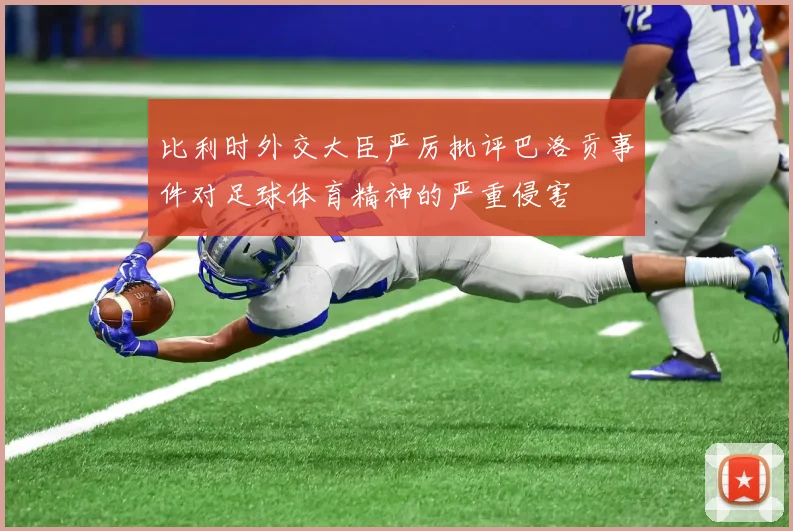 比利时外交大臣严厉批评巴洛贡事件对足球体育精神的严重侵害